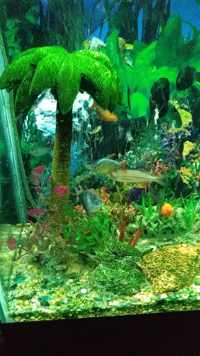 Pet Supply Store «Petco Animal Supplies», reviews and photos, 340 Grasmere Ave, Fairfield, CT 06824, USA