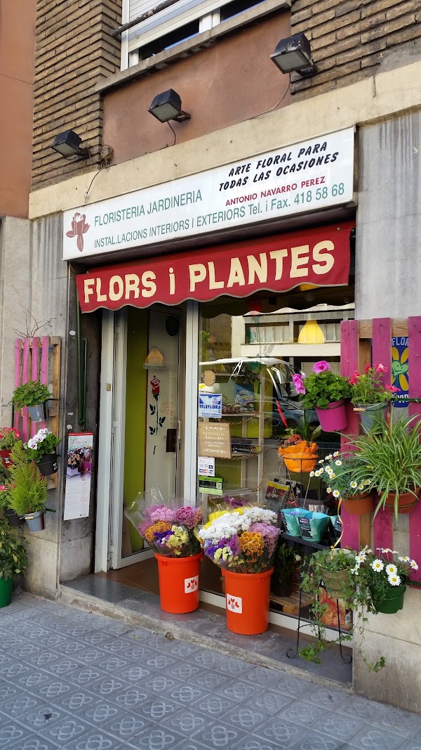 Floristería A. Navarro Pérez