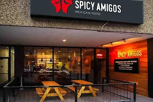 Spicy Amigos image