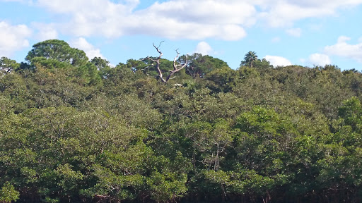 Park «George C. McGough Nature Park - The Narrows», reviews and photos, 11901 146th St N, Largo, FL 33774, USA