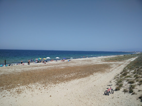 Arborea beach II
