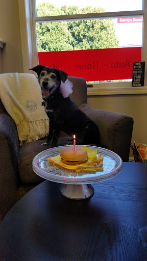 Insurance Agency «Carolyn Semanic - State Farm Insurance Agent», reviews and photos