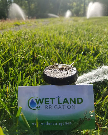 Wetland Irrigation