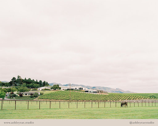 Wedding Venue «Greengate Ranch & Vineyard», reviews and photos, 300 Green Gate Rd, San Luis Obispo, CA 93401, USA