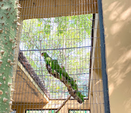 Loroventura Park photo