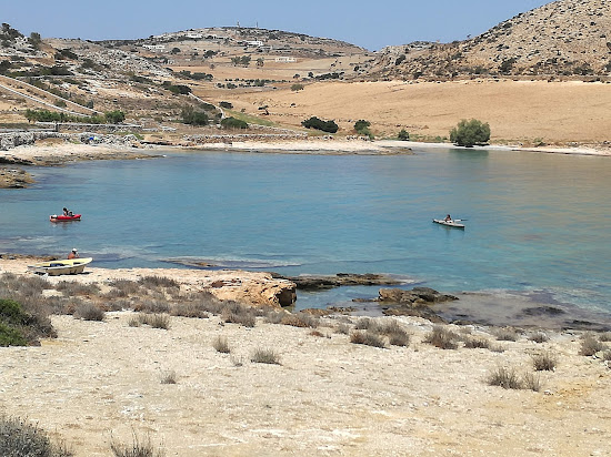 Celandine beach