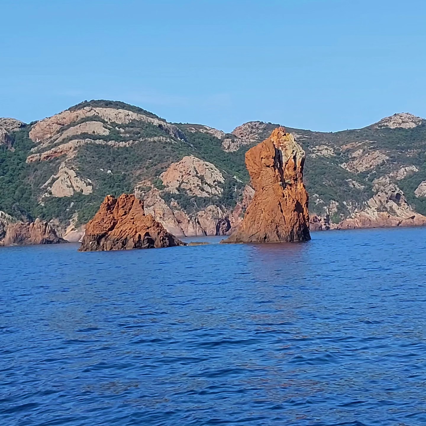 Photo n° 2 de l'avis de Jérémie.u fait le 19/06/2023 à 12:15