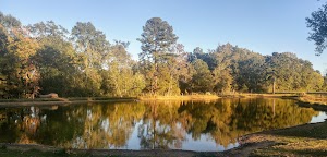 Laguna Vista RV Park - Campground Site - photo 31