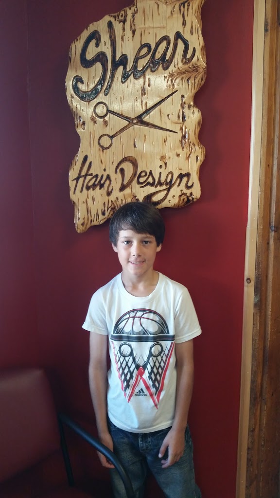 Shear Hair Design 49946