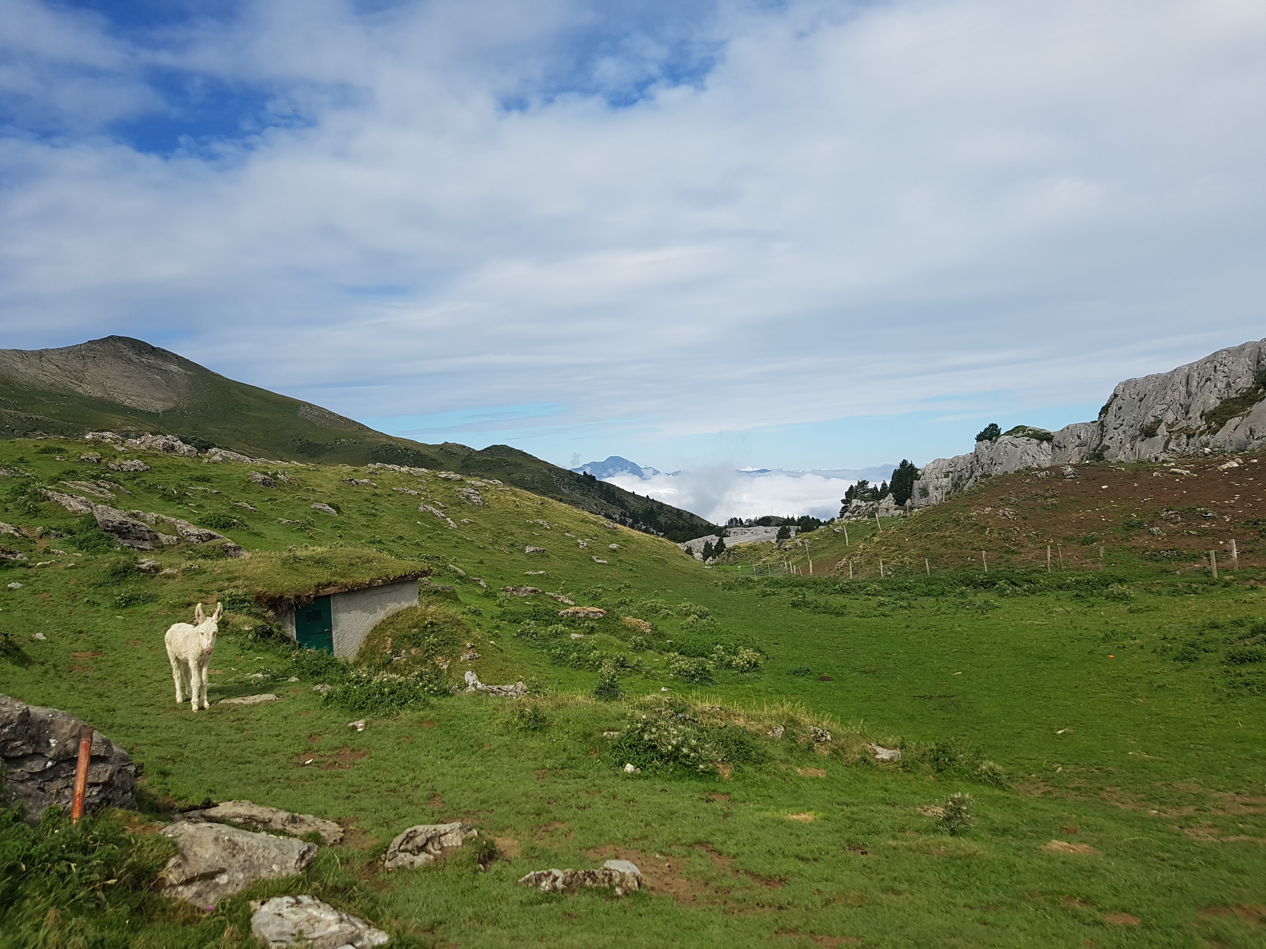 Photo n° 1 de l'avis de Christine.i fait le 07/08/2019 à 12:23