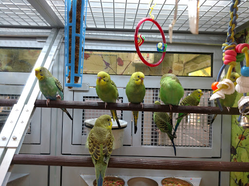 Pet Store «PetSmart», reviews and photos, 17150 Ventura Blvd, Encino, CA 91316, USA