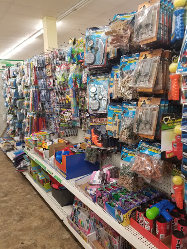 Dollar Store «Dollar Tree», reviews and photos, 8766 W Dempster St, Niles, IL 60714, USA