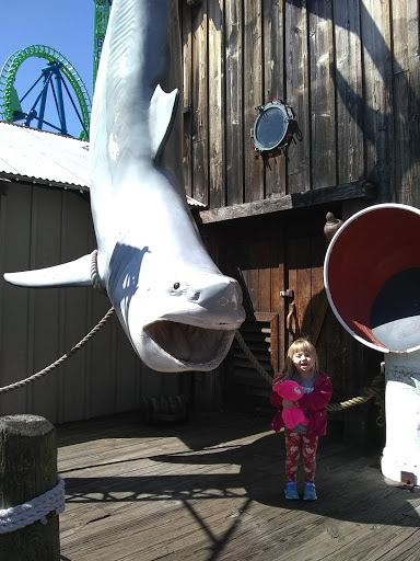 Amusement Park Ride «Pandemonium», reviews and photos, 947 Main St, Agawam, MA 01001, USA