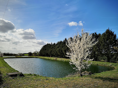 La lagune à Saint-Maur
