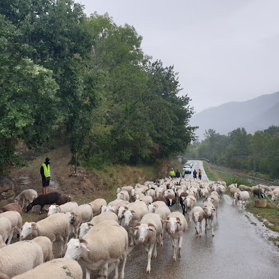 Pont du Castelet sur l'Ariège à Perles-et-Castelet