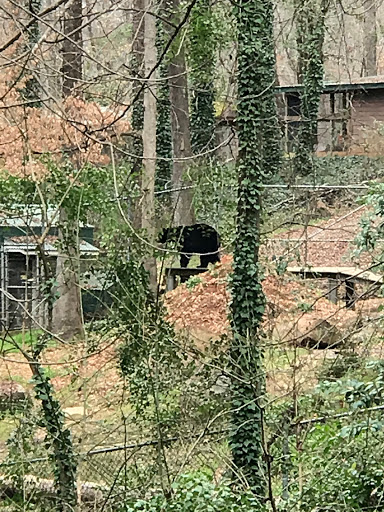 Government Office «Bear Hollow Wildlife Trail», reviews and photos, 293 Gran Ellen Dr, Athens, GA 30606, USA