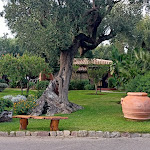 Photo n°2 de l'avis de tiziana.o fait le 07/08/2021 à 15:51 sur le  Happy Village à Marina di Camerota, Camerota