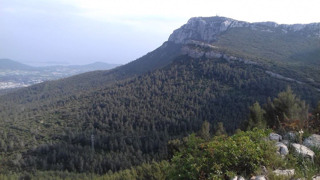 Résidence Les Bergeries à Solliès-Ville