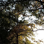 Photo n° 3 de l'avis de Josiane.e fait le 30/10/2019 à 03:11 pour Site des Neuf Fontaines à Bostens