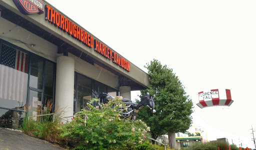 Harley-Davidson Dealer «Thoroughbred Harley-Davidson», reviews and photos, 8025 Action Blvd, Florence, KY 41042, USA