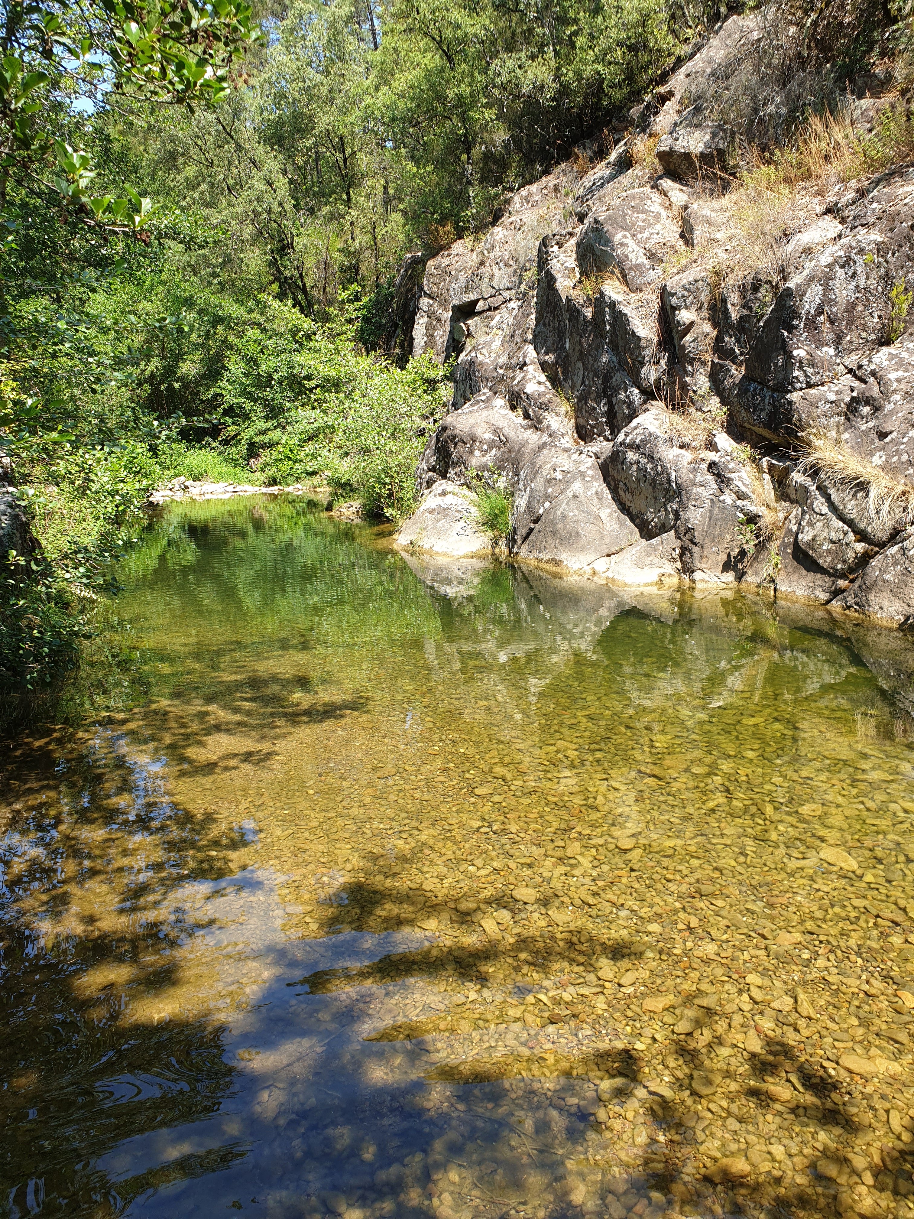 Photo n° 16 de l'avis de shotoma1. fait le 11/08/2019 à 20:03