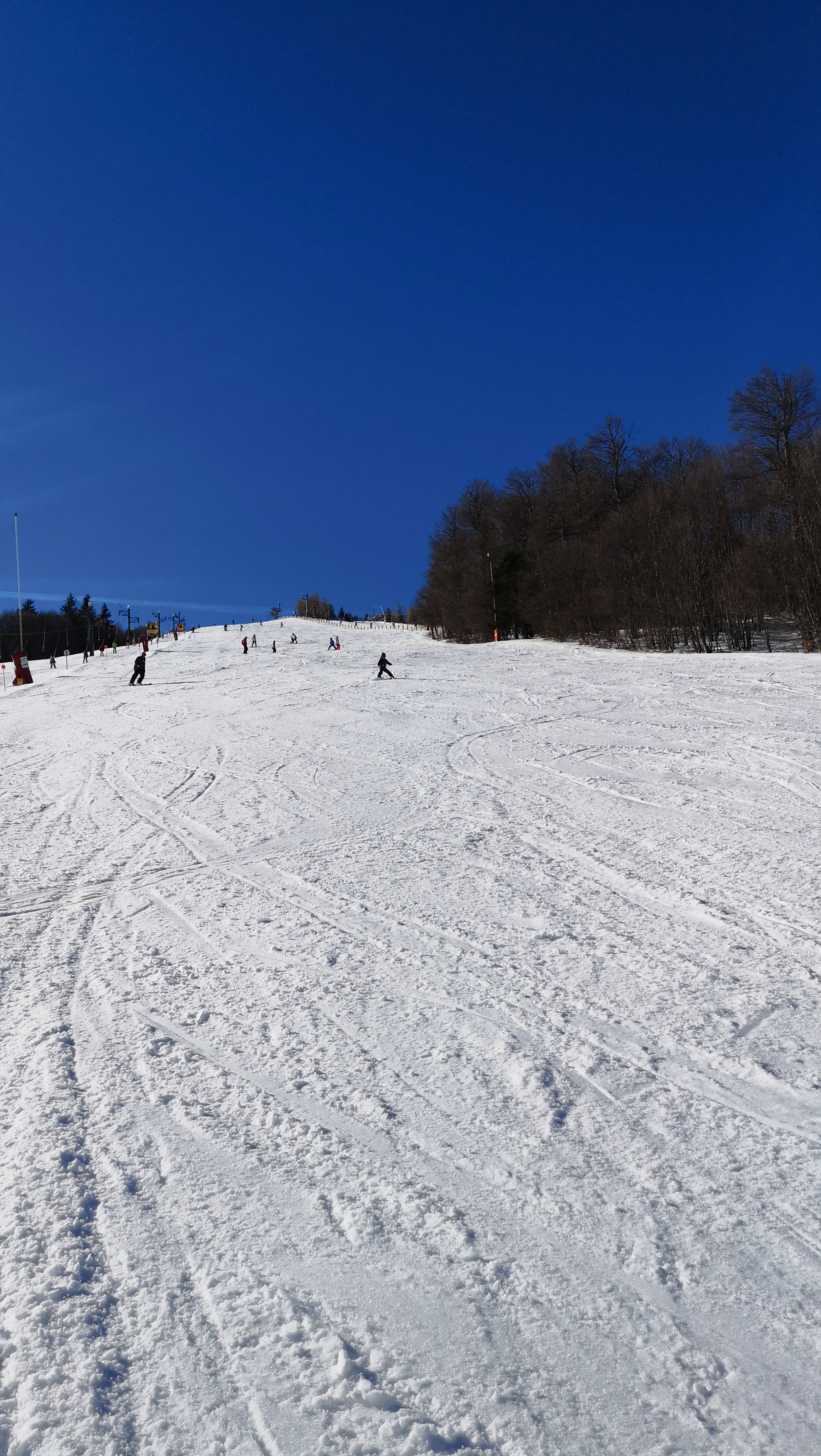 Photo n° 2 de l'avis de Laurence.E fait le 19/02/2019 à 18:53