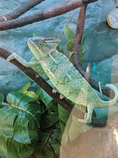 Pet Supply Store «Petco Animal Supplies», reviews and photos, 2515 W Mason St, Green Bay, WI 54303, USA