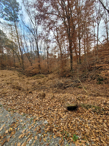 Nature Preserve «Melvin L. Newman Wetlands Center», reviews and photos, 2755 Freeman Rd, Hampton, GA 30228, USA