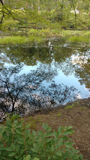 Nature Preserve «Gummere Woods And Marsters Preserve Trail», reviews and photos, 4 Wheeler Rd, North Grafton, MA 01536, USA