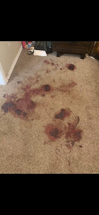 Carpet Care By Dun-Rite Services - Photo 3 - Car repair in , Baltimore
