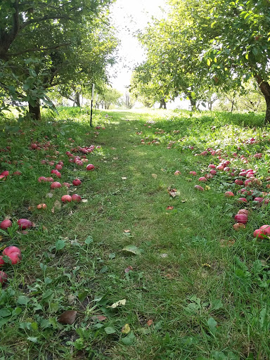 Produce Market «Welsh Heritage Farms», reviews and photos, 20758 528th Ave, Lake Crystal, MN 56055, USA