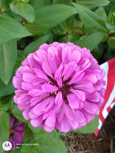 Thrift Store «Second Blessing Thrift Store Inc.», reviews and photos, 2323 Central Ave, Wichita, KS 67214, USA