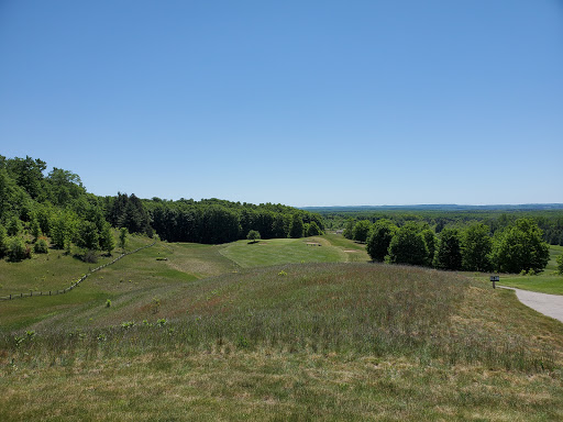 Golf Course «Champion Hill Golf Course», reviews and photos, 501 N Marshall Rd, Beulah, MI 49617, USA