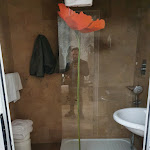 Photo n°2 de l'avis de Marino. fait le 21/06/2021 à 07:16 sur le  Villa Ambra à Sant'Albino, Montepulciano