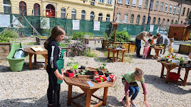 Szamóca Kiskertész Tanoda a Füvészkertben