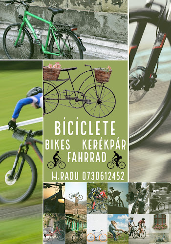 Biciclete / Piese / Service