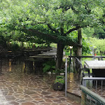 Photo n°1 de l'avis de Simone.e fait le 05/07/2021 à 06:34 sur le  Ristorante La Casina à Drena