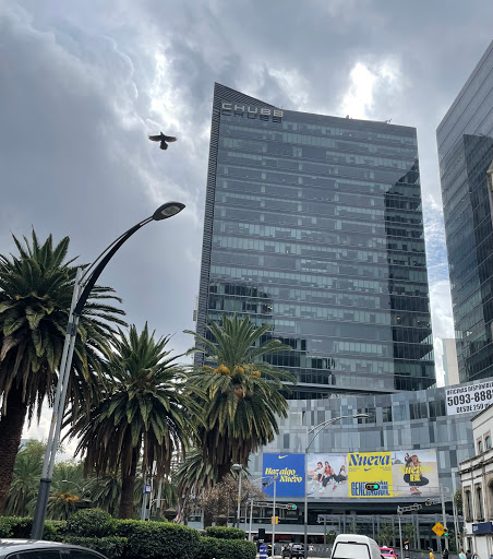 Insurance courses Mexico City