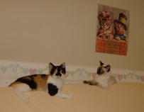 Louisville Posh Paws Pet Care - Photo 3 - Car repair in , Louisville