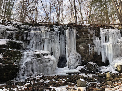 Tourist Attraction «Black Ledge Falls», reviews and photos, Hebron Ave, Glastonbury, CT 06033, USA