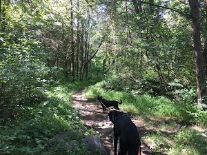 Hillandale Park - photo 3