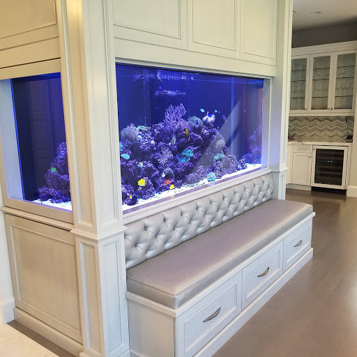 Pet Store «Tanks A Lot Aquariums», reviews and photos, 6680 Lantana Rd, Lake Worth, FL 33467, USA