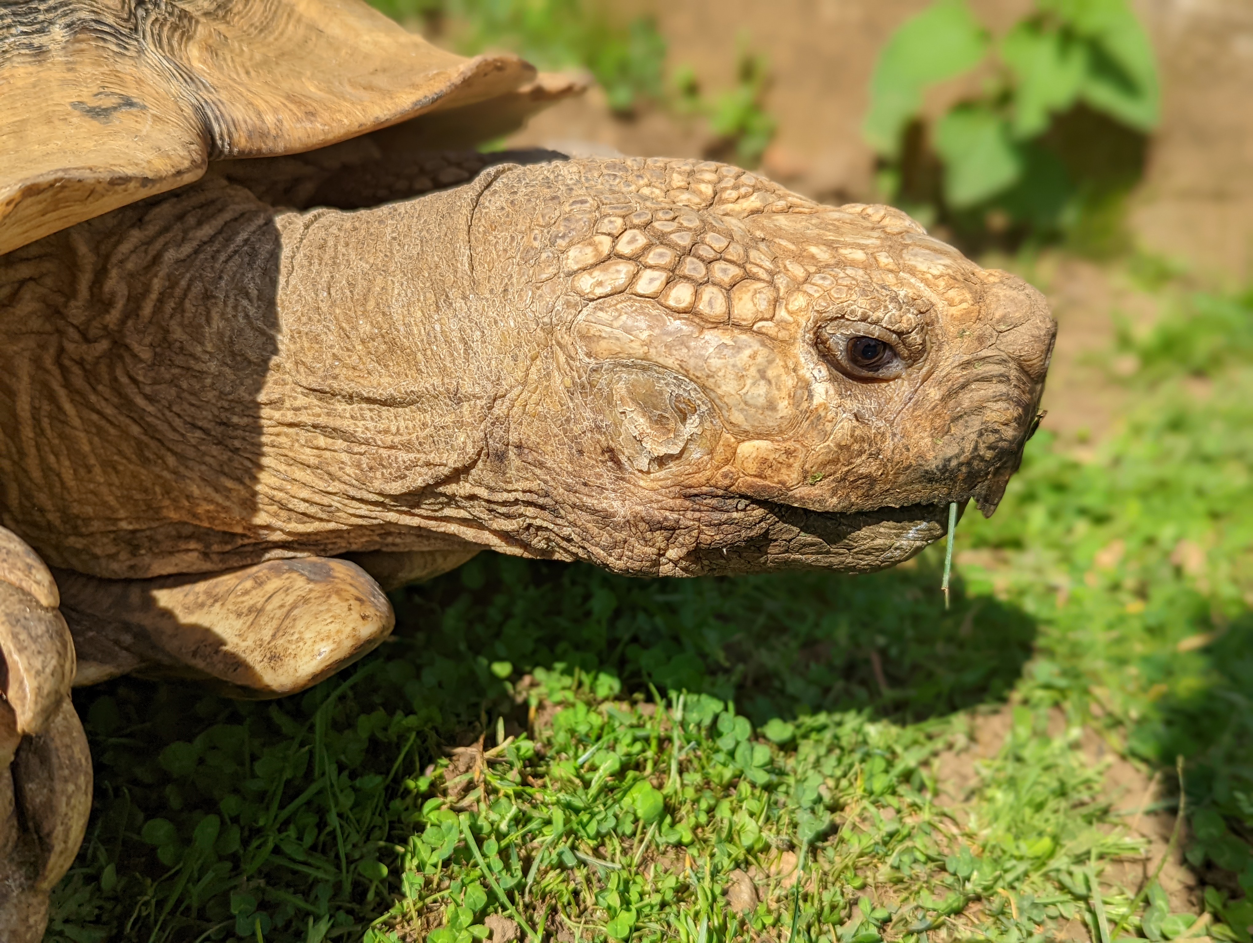 Photo n° 23 de l'avis de Mathieu.I fait le 07/05/2022 à 19:56