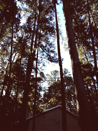 Golf Club «Holly Lake Ranch Golf Club», reviews and photos, 210 Golf Drive, Holly Lake Ranch, TX 75765, USA