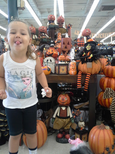 Hardware Store «Orchard Supply Hardware», reviews and photos, 2230 W Walnut Ave, Visalia, CA 93277, USA