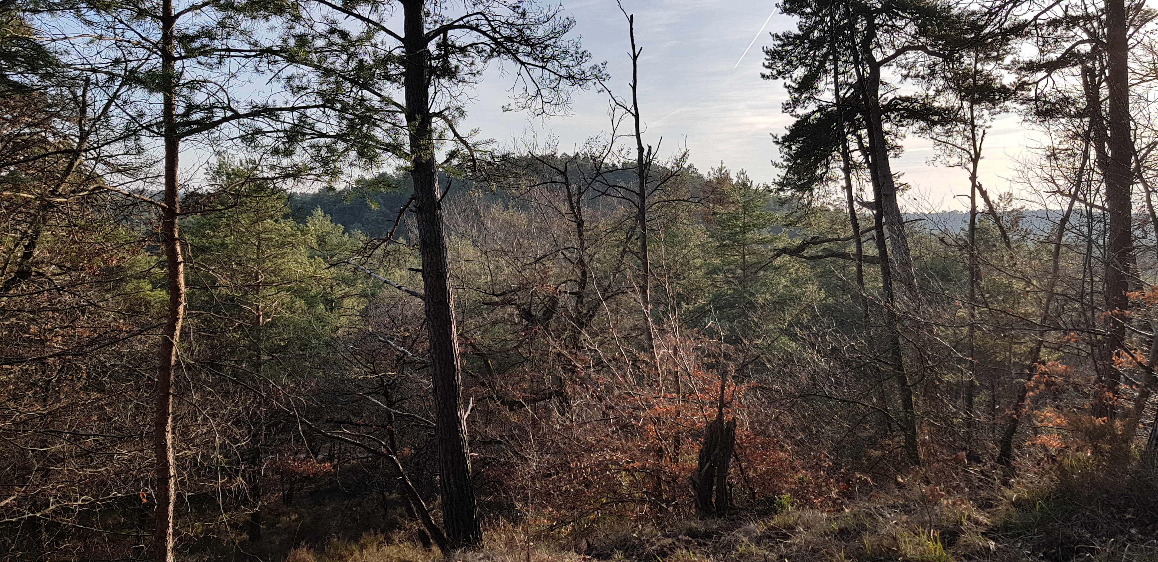 Photo n° 2 de l'avis de mika.o fait le 27/02/2019 à 17:18