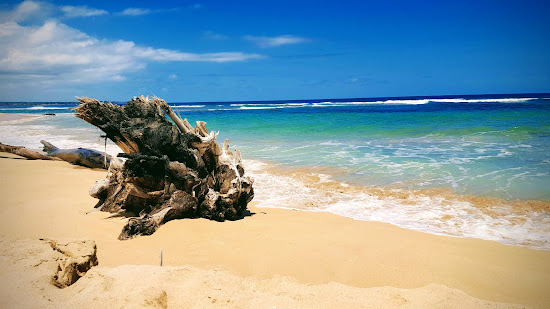 Kauai Beach