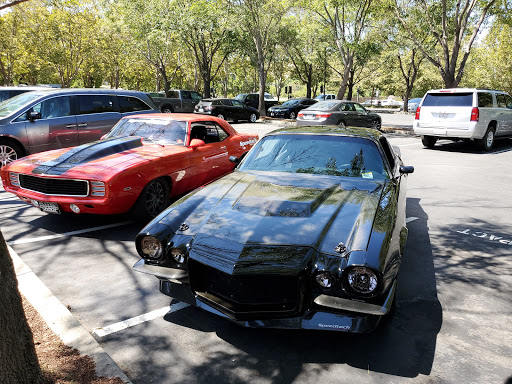 Pet Supply Store «Petco Animal Supplies», reviews and photos, 2005 Crow Canyon Pl, San Ramon, CA 94583, USA