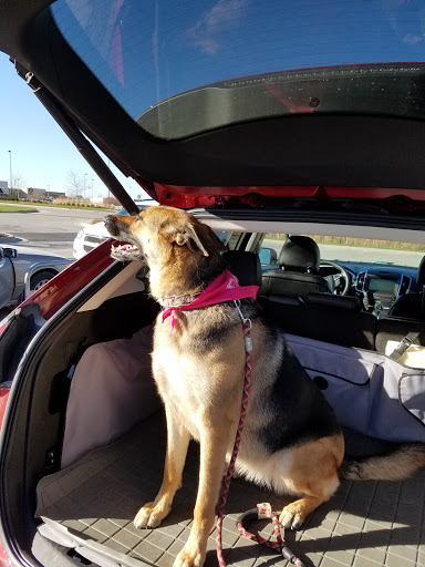 Pet Supply Store «PetSmart», reviews and photos, 815 McDermott Street, Council Bluffs, IA 51501, USA