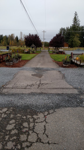 Winery «Rainier View Winery and Nursery», reviews and photos, 12314 264th St E, Graham, WA 98338, USA